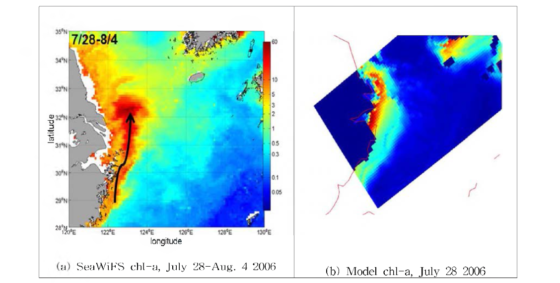 SeaWiFS chlorophyll—a composite image from July 28 to August 4 2006(a) and distribution of chlorophyll-a concentration 011 July 28 from model results (b).