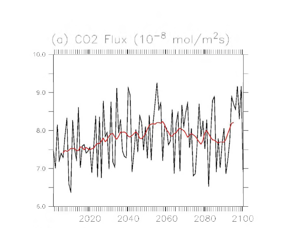 Projection of air-sea C02 exchange under the A1B scenario over the East China Sea(average over 12OE and 130E，and 25N and 35N). The back line is for annual mean and the red one is for 10 year running mean.