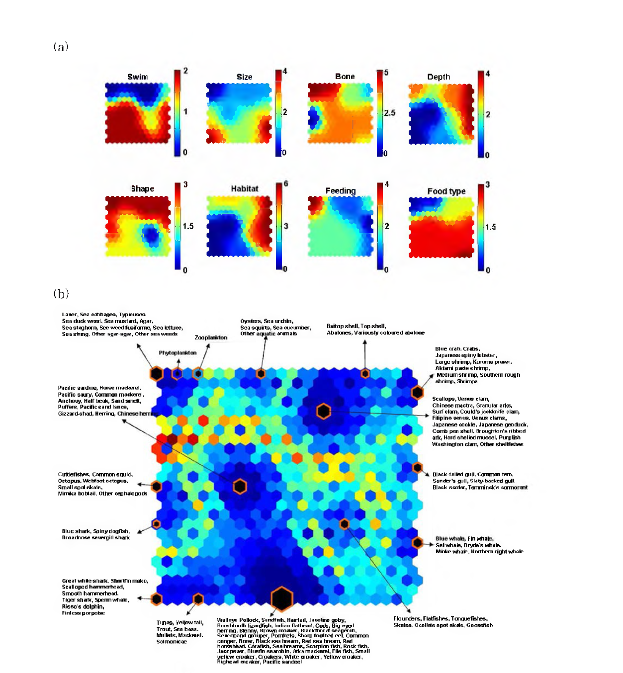 Self-organizmg mapping(SOM) with 138 marine species in the East China Sea ecosystem