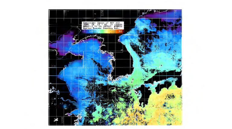 Satellite image of weekly SST on Jan 13th - 19th, 2004.