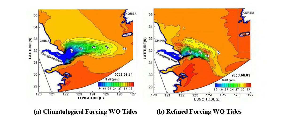 Example of application for the Ocean modeling using regenerated meteorological data by Weather Generator(MM5).