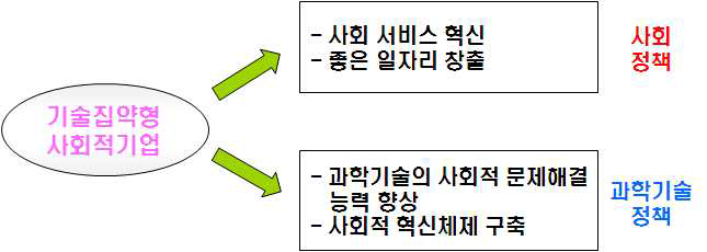 기술집약형 사회적기업의 역할