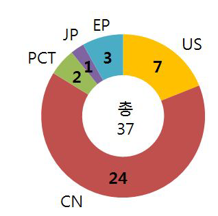주요 국가의 4배체 특허 출원 건수