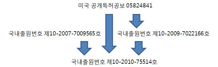 국내출원 건의 권리관계