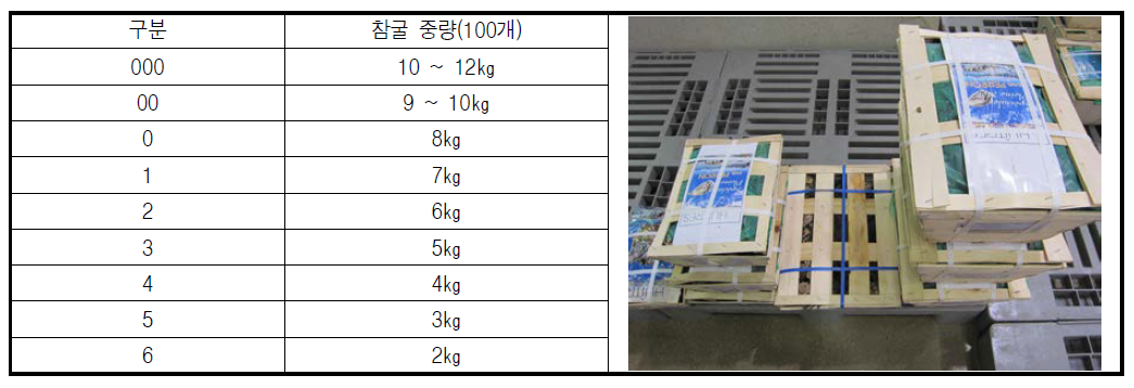 프랑스 참굴 유통규격