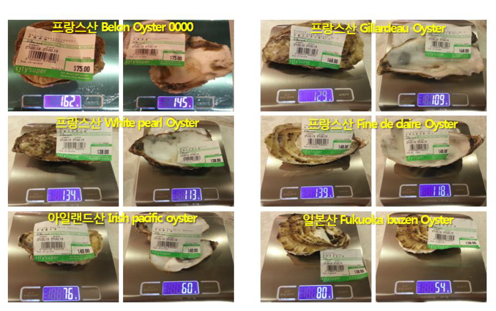 홍콩 소매점에서 판매되는 수입산 참굴의 중량 측정