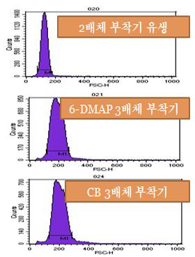 유동세포분석기를 이용한 2배체와 3배체 부착기 유생의 배수성 확인 결과