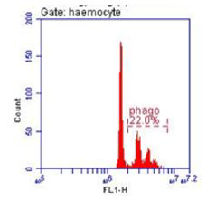 혈구 phgocytosis plot