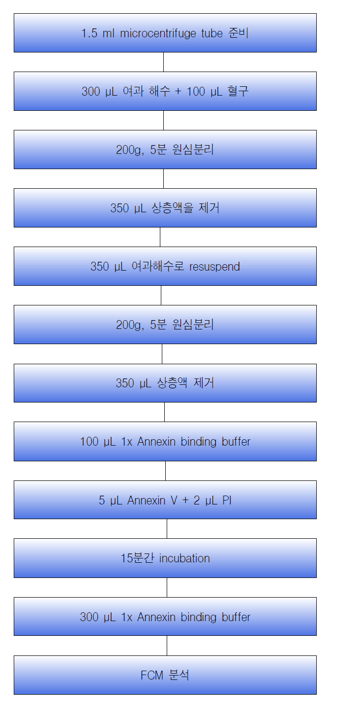 Apoptosis의 분석 절차