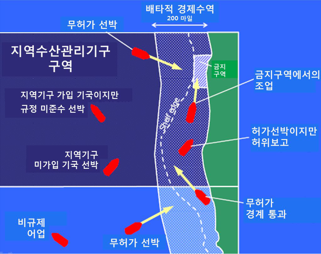 IUU 어업의 일반적 유형