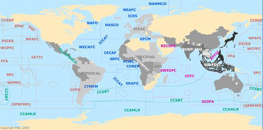 지역수산기구(RFB)의 관리 수역