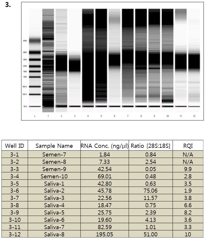 ExperionTM RNA StdSens를 이용한 RNA 샘플 정량 및 상태 확인 (3차).