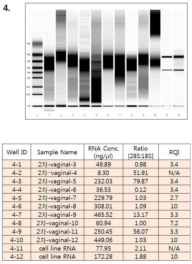 ExperionTM RNA StdSens를 이용한 RNA 샘플 정량 및 상태 확인 (4차)
