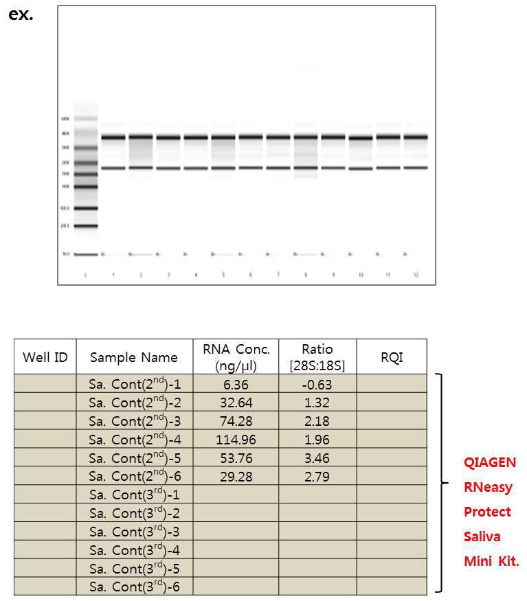 ExperionTM RNA StdSens를 이용한 RNA 샘플 정량 및 상태 확인 (6차, QIAGEN RNeasy Protect Saliva Mini Kit)