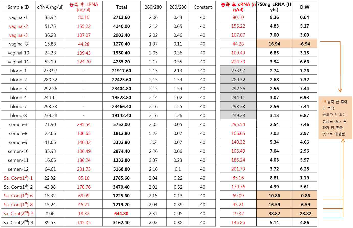 RNA 증폭 이후 cRNA 합성 상태