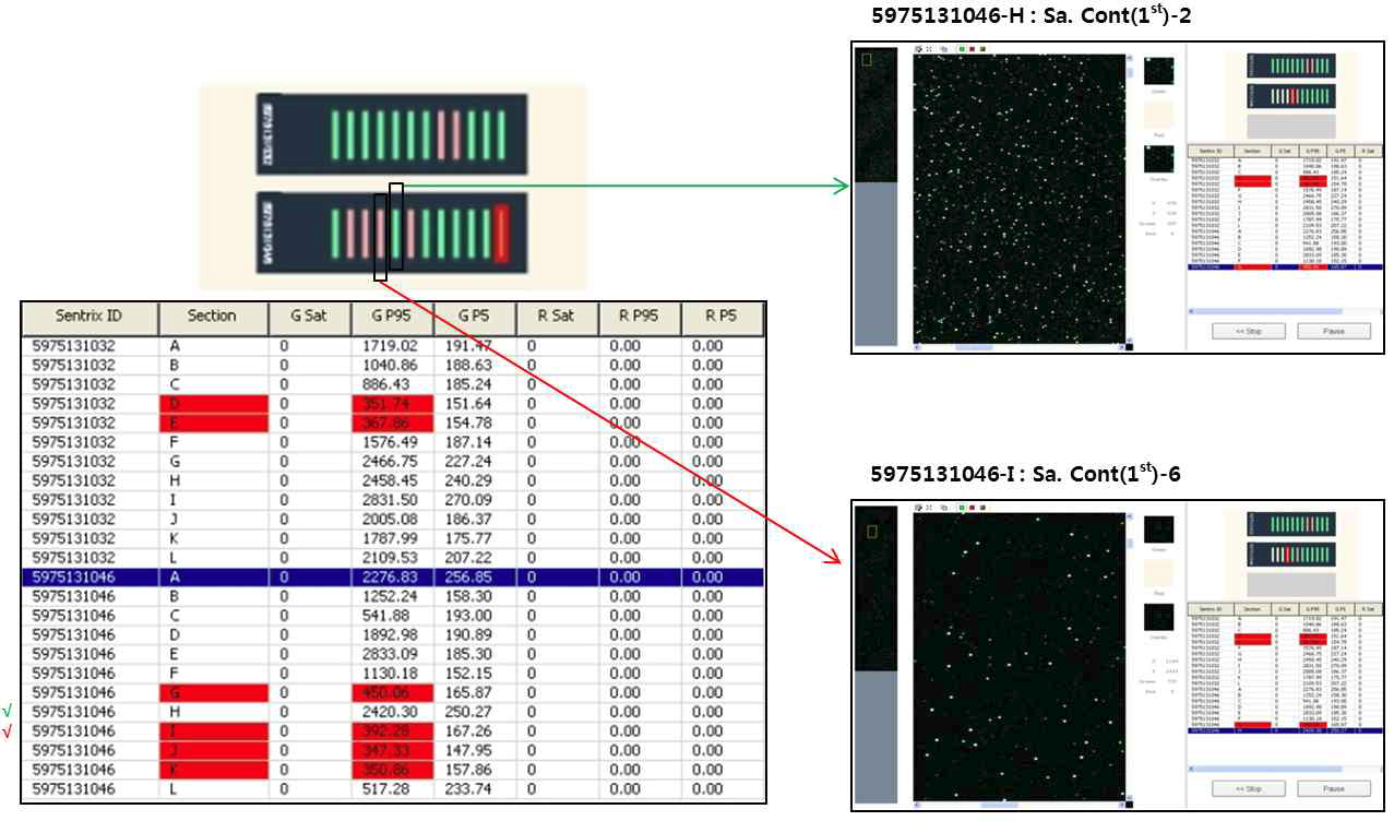 Illumina BeadChip Array hybridization 상태 확인