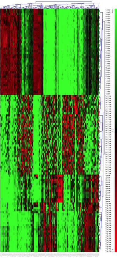NCBI GEO dataset을 이용한 선별된 137개 마커 유전자의 검증