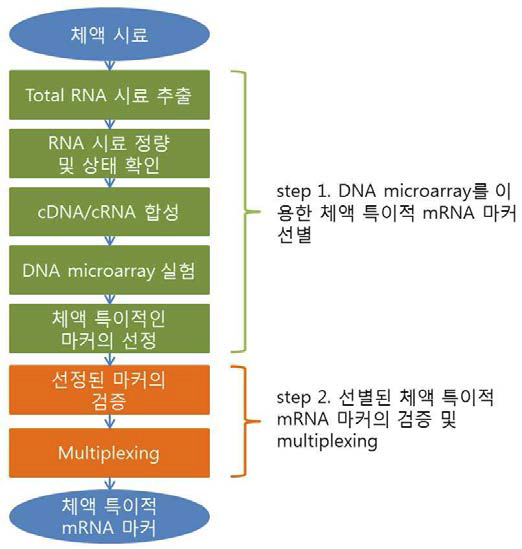 DNA microarray를 이용한 체액 감별 mRNA 마커의 선별 및 검증을 위한 work flow.