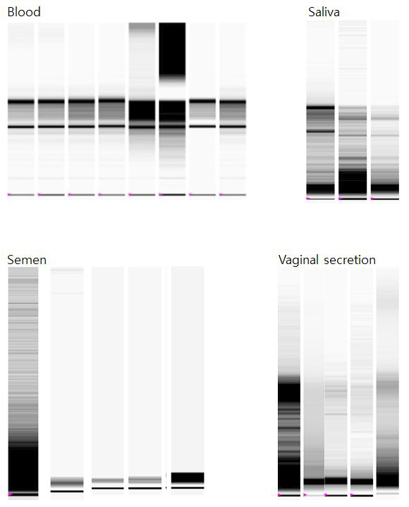 ExperionTM RNA StdSens를 이용한 RNA 샘플 상태 확인