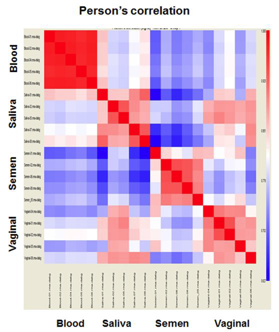 microarray실험 간의 correlationmatrix