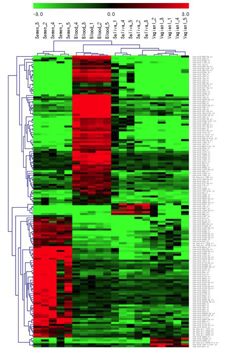 선별된 150개의 microRNA 발현을 unsupervised hierarchical clustering한 결과