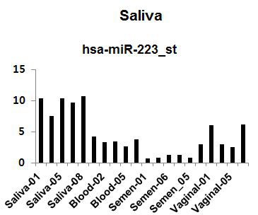 침 특이적인 마커로 선별된 has-miR-223의 발현 패턴