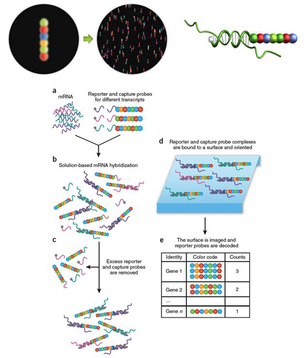 NanostringnCounter™ system