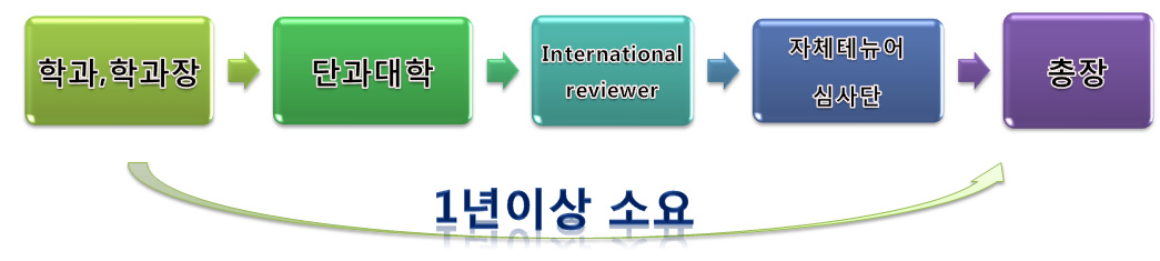 싱가폴대학의 다단계 테뉴어 심사절차