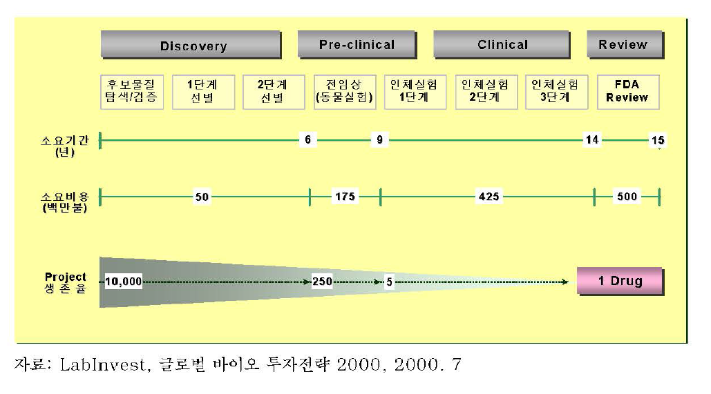 신약개발과정