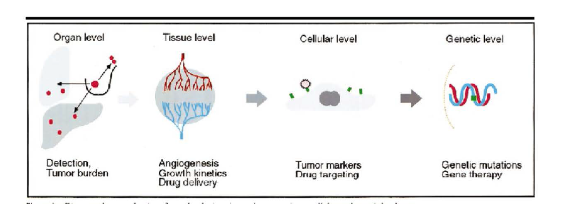 기관, 조직, 세포, 유전자 단계 각각에서의 Molecular Imaging의 원리