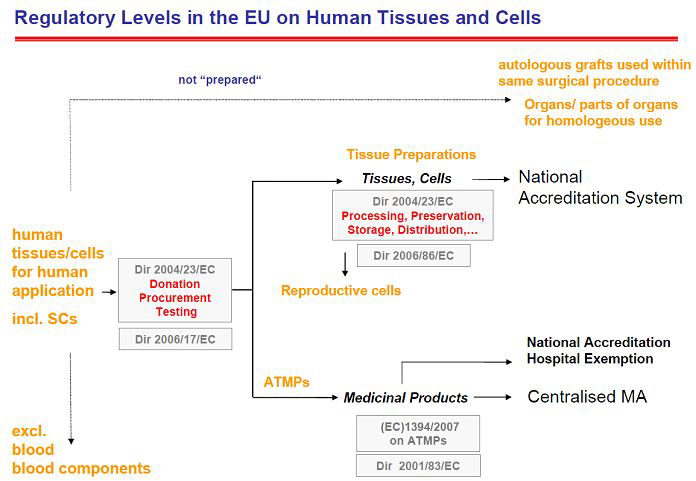 유럽에서 인체유래세포의 질병치료 활용 시 관련 규제 제도