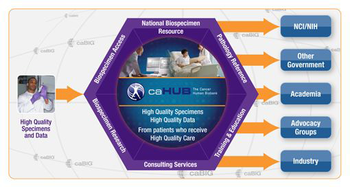 미국 caHUB(Cancer Human Biobank)