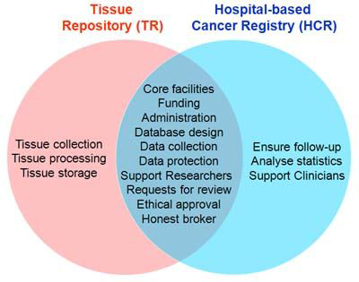 싱가폴 Tissue Repository와 Hospital-Based Cancer Registry의 연계관계