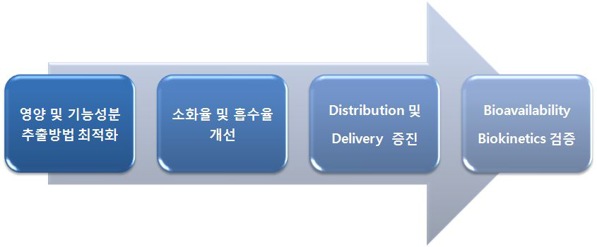 세부과제의 추진 개요