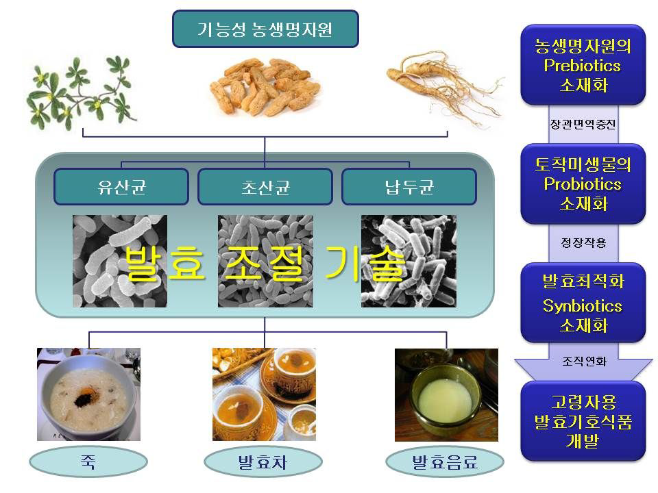 고령친화 식품 세부과제의 추진 개요