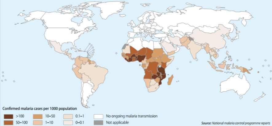 2013년 말라리아 발생 지역