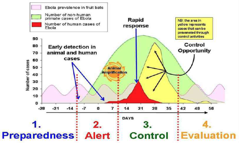 에볼라의 유행곡선(epidemic curve)과 단계별 대응 전략