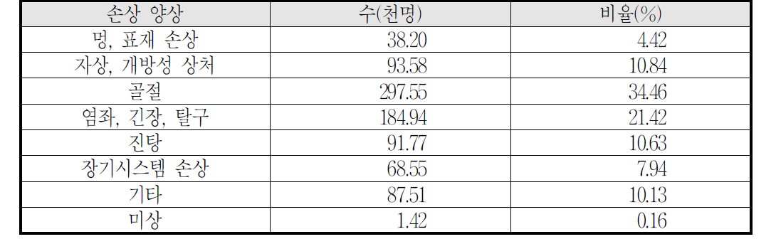 손상 양상