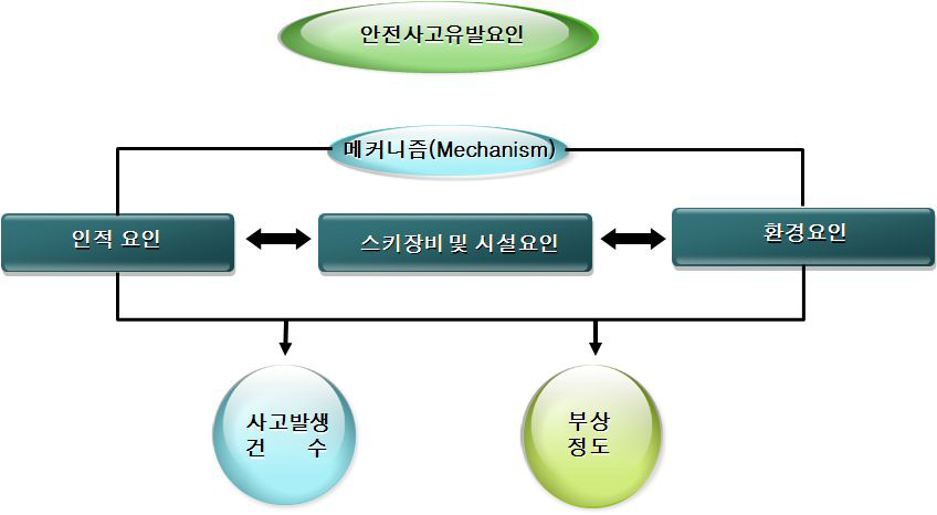 스키장 안전사고 유발요인