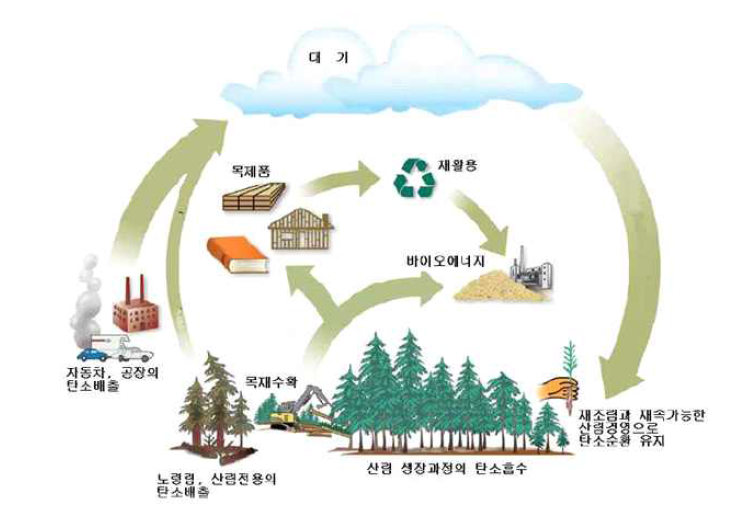 산림의 탄소순환시스템