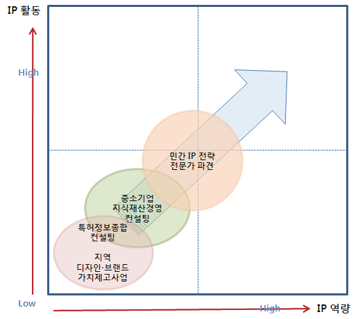 지역지식재산사업 구성 : 지식재산 역량 및 활동 관점