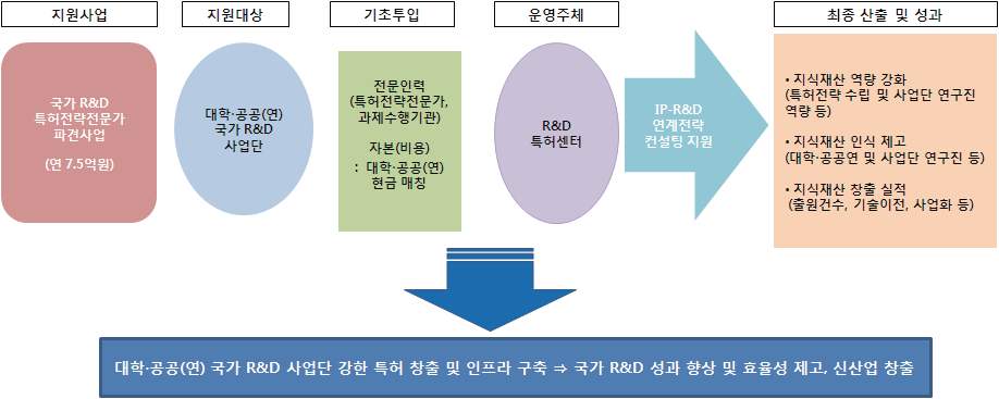 국가 R&D 특허전략전문가 파견사업 개요도