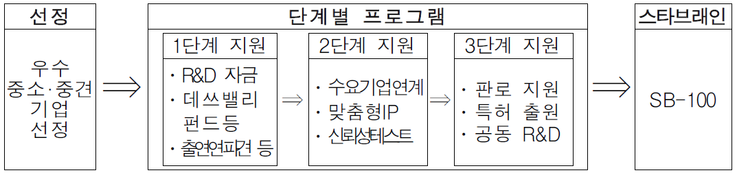 스타 브레인 육성 프로그램 예시