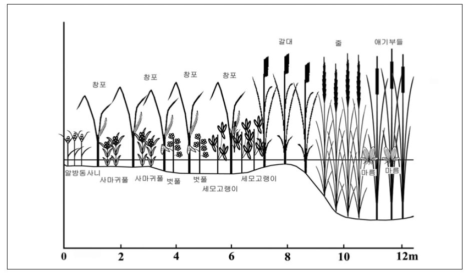 새만금 생태환경용지 복합도시 1권역의 수변녹(습)지의 식생대 예시