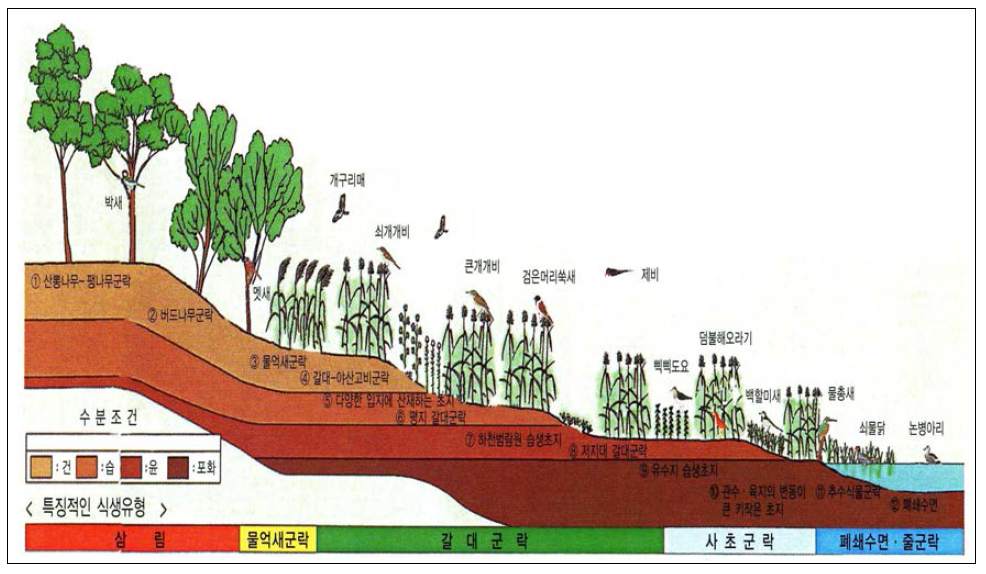 수질정화습지 단면도