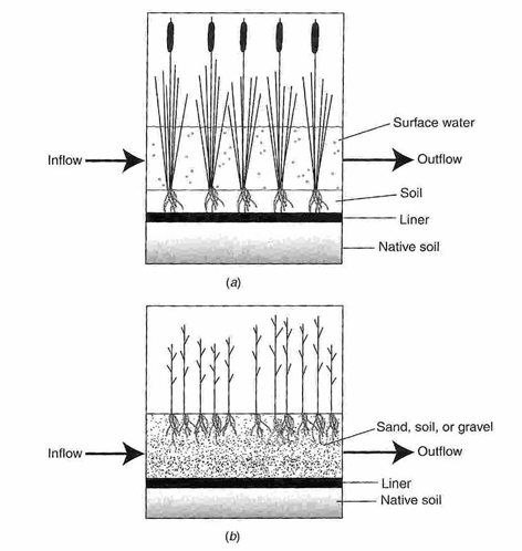 습지토양 단면도 (a) 지표흐름, (b) 지하흐름