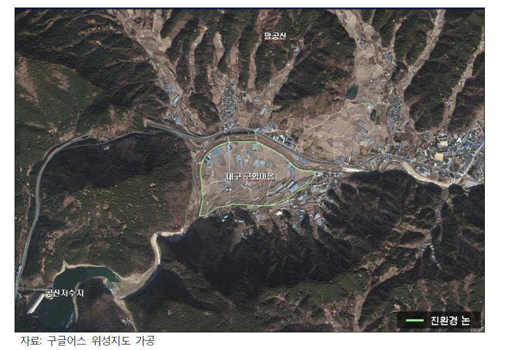대구 구암마을 논습지(친환경논) 위성사진