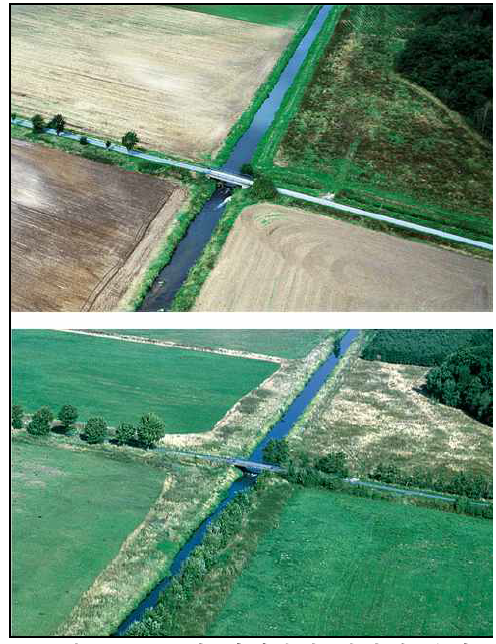 독일 이제강의 서식지 복원 지역 변화모습 전경