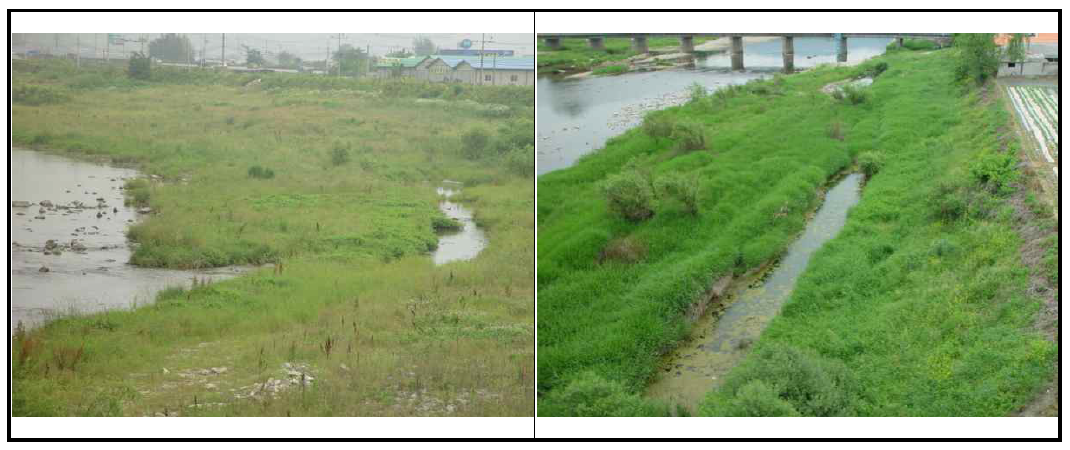 수변부 Two-pond system에 의한 저수로 형태(좌:가평천, 우:양재천)