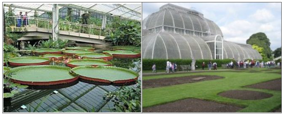 영국왕립 Kew식물원 식물원(좌 :내부, 우: 외부)